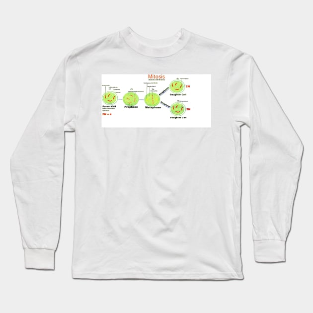 Mitosis - Somatic cell division. Long Sleeve T-Shirt by ikshvaku